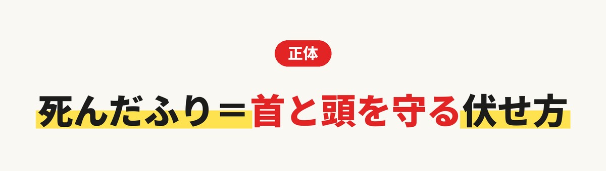 クマの死んだふりの正体は、首と頭を守る伏せ方