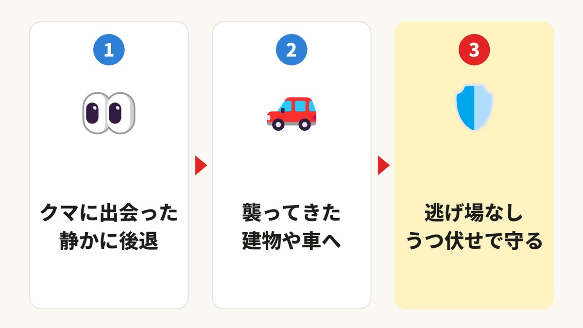 クマに出会ったら静かに後退、襲ってきたら建物や車へ、逃げ場がなければうつ伏せで守る
